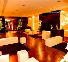 Conheça Nosso Lounge - 46